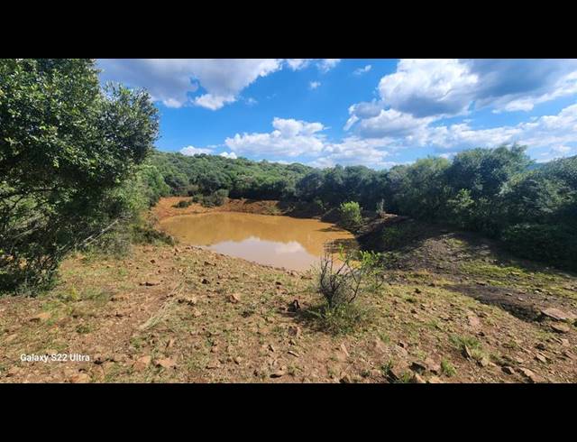 FARM FOR SALE IN OLIFANTSHOEK
